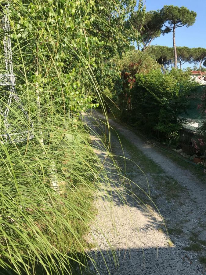 Ancora Bilocale Vila Marina di Massa Exterior foto